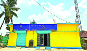 Banking boom in Bastar: 31 new branches open in remote areas