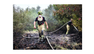 Belgian wildfire approaches Germany despite rain