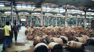 Bengal labour minister seeks Centre's intervention on jute bag pricing ahead of puja bonus