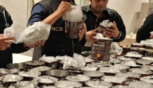 Bengaluru Drug Bust Six Arrested With MDMA and Hydro Ganja Worth Rs 20 Crore