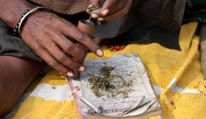 Bengaluru Drug Racket Busted: 23 Arrested, narcotics and banned tobacco worth ₹8 crore seized