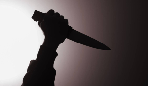 Bengaluru Horror: Husband records threat video, then stabs wife 20 times in front of family