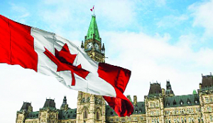 Bhavjit Jauhar named interim COO of Cricket Canada