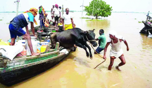 Bihar floods affect 19 lakh, Ganga rises in Patna