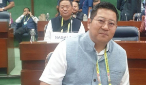 Bill to set up Frontier Nagaland Territorial Authority tabled in Assembly