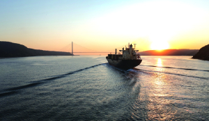 Blasé Capital Oil@$95 is Normal