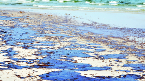 Blasé Capital SP(OIL)S  of WAR