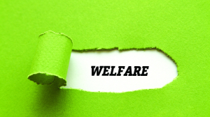 Blasé Capital Welfare Politics