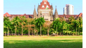 Bombay HC halts Maharashtra Cricket Association election