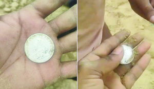 British-era silver coins unearthed in MP