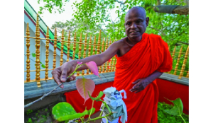 Buddhist monk accused of child sexual abuse is released on bail in Sri Lanka