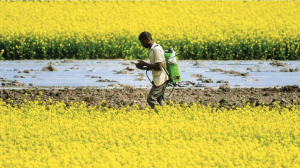 Budget has nothing for farmers: Punjab Government