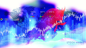 Bulls out of hiding, run amok