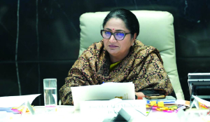 Cabinet approves carbon credit monetisation framework