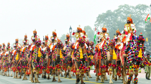 Camels, ponies to steal show at Republic Day parade