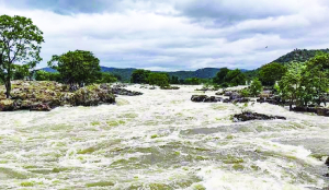 Cauvery row: SC tells Karnataka to comply with water release order