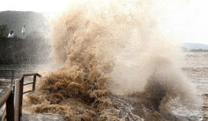 Cauvery water: Released excess water to Tamil Nadu as of Aug 31, Karnataka tells SC