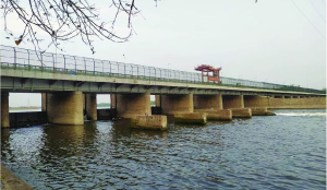 Centre directs Haryana, UP to divert water from Munak canal, Ganga to revive Yamuna