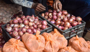 Centre expands subsidised onion sales amid price rise