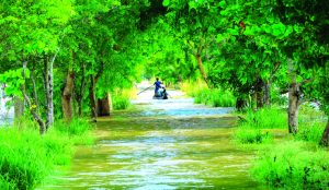 Centre to release Rs 2,117 cr SDRF to 7 flood-hit States