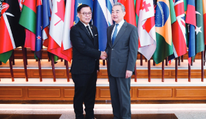 China, Thailand unite against online cyberscams