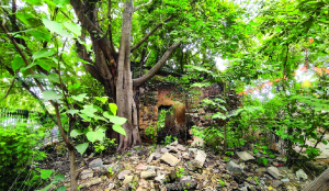 Civic body plans heritage status for Mughal-era sarai