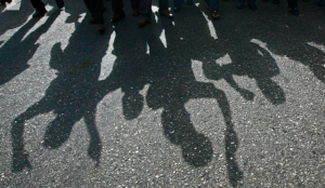 CJP to hold protest in Rajasthan over alleged detention, assault of activists by police
