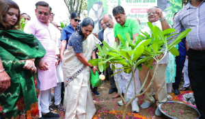 CM Rekha plants saplings in Model Town