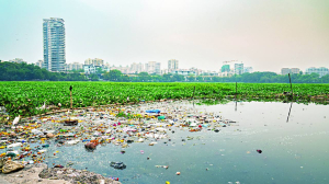 Compliance burden to competitive advantage: India’s smart environmental regulation