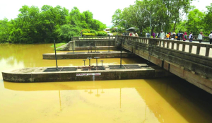 Concerned over drying up of Sukhna lake, says CJI