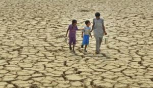 Congress leaders urge Maharashtra government to declare Latur drought-hit, seek urgent relief for farmers
