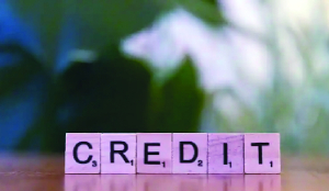 Credit market doubles to $25 bn in 5 years: Moody’s