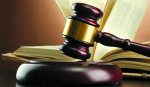 Criticism of govt, CM not ‘war’ against nation: Court