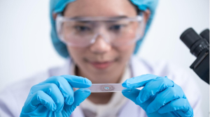 Curiosity, creation, and the quiet instinct to possess