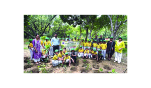 DDA launches digital system to monitor plantation drive