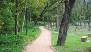 DDA launches Heritage Week celebrations