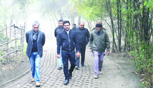 DDA parks enhance quality of life in Delhi: Vice Chairman