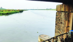 DDA to revive 77 water bodies; 6 targeted in 30 days