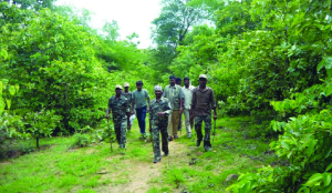 Deadly duty: India’s forest guardians under siege