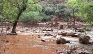 Deadly Grand Canyon flash flood leaves 1 dead, 15 unaccounted for