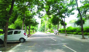 Decide on Sainik Farms fate in 2 months Delhi HC tells authorities