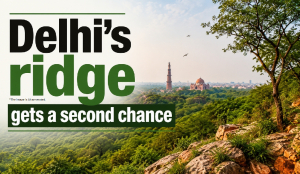 Delhi’s ridge gets a second chance