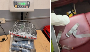 Delhi Airport customs seize 6.37 Kg Hydroponic weed, 3 passengers arrested