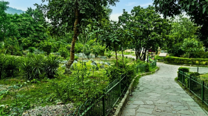 Delhi cannot afford to lose the ridge