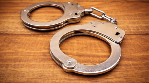 Delhi couple sent to 14-day judicial custody over racial slur