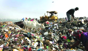 Delhi faces 4,200 tonne daily waste-processing gap
