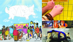 Delhi goes to the polls, Paws First