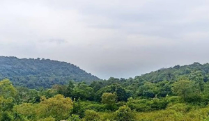 Delhi govt grants reserved forest status to 673 hectares of central ridge