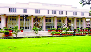 Delhi HC cautions against personality rights use to snuff out caricature, parody