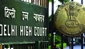 Delhi HC denies bail to mother-in-law in dowry death case